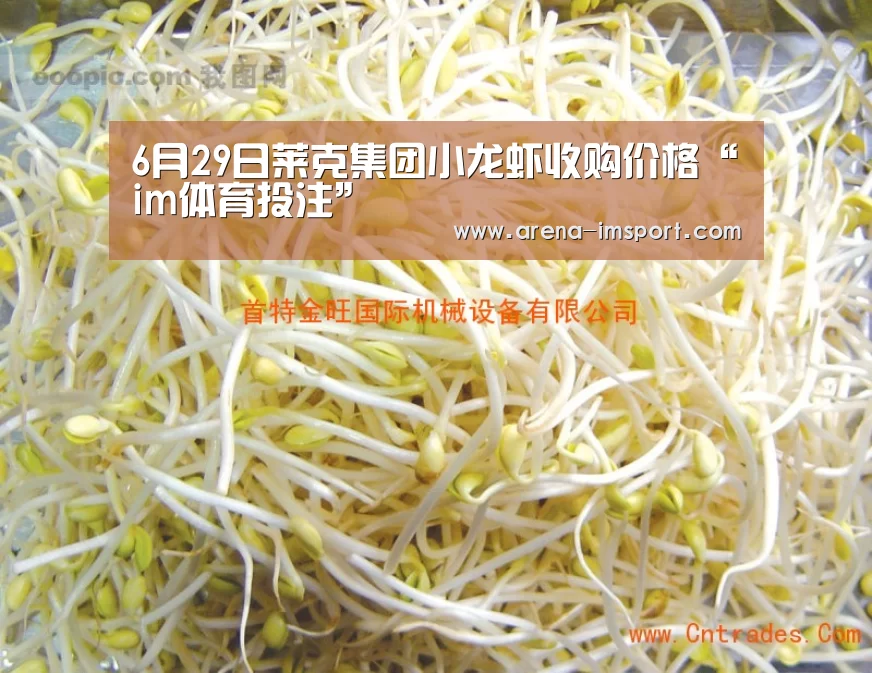 im体育官网