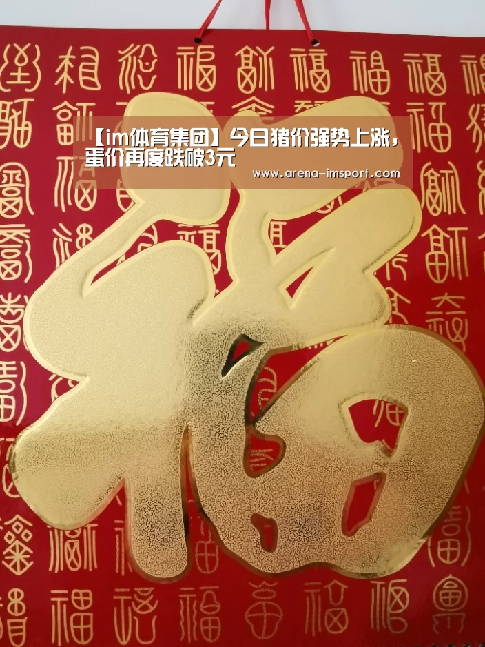 im体育分部