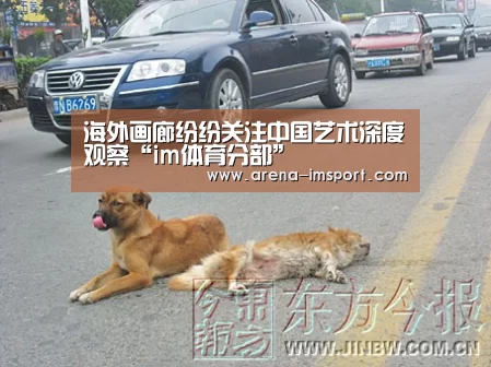海外画廊纷纷关注中国艺术深度观察“im体育分部”(图3) im体育分部
