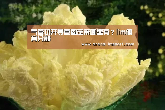 气管切开导管固定带哪里有？|im体育分部