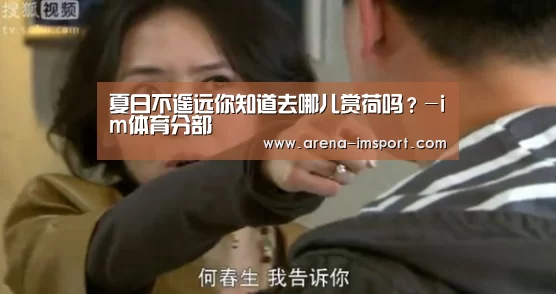 夏日不遥远你知道去哪儿赏荷吗?-im体育分部(图3) im体育投注