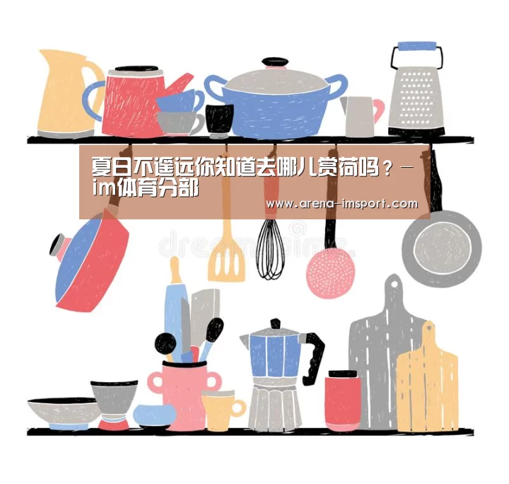 夏日不遥远你知道去哪儿赏荷吗?-im体育分部(图4) im体育投注