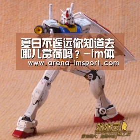 夏日不遥远你知道去哪儿赏荷吗？-im体育分部